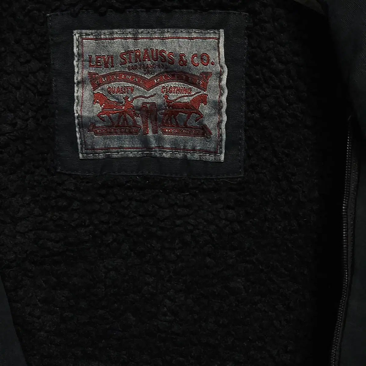 thumbnail-8